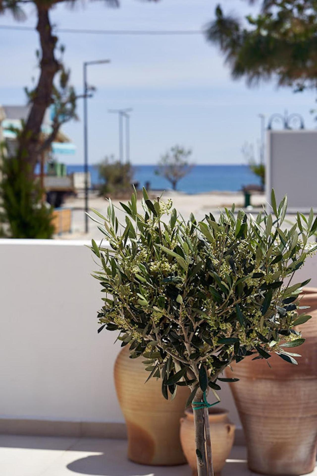 Sia Mare Seaside Apartments Фаліракі Номер фото